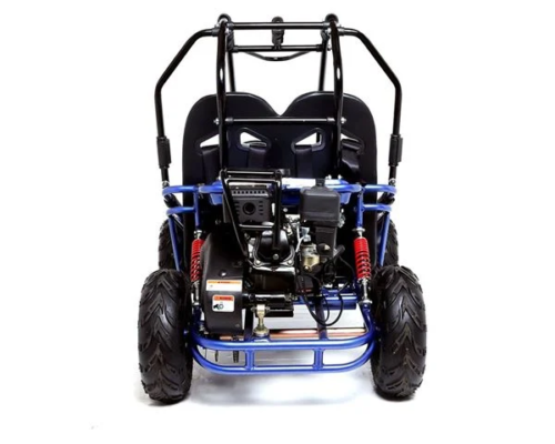 Blue 160cc 2 Seater Petrol Off-Road Kids & Teens Buggy – Kids Petrol Cars