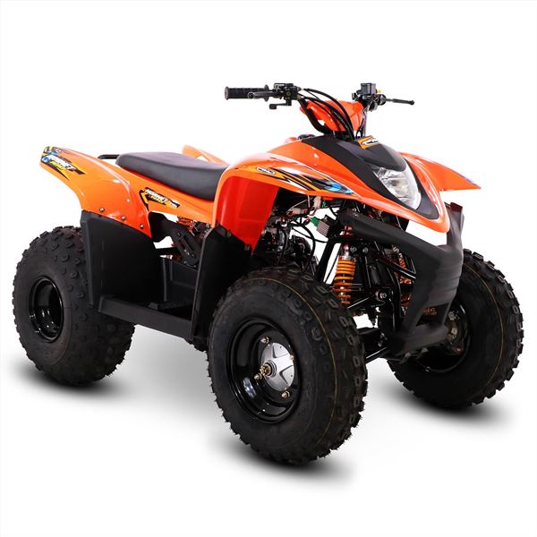 100cc Standard Motor Corporation Robust 2 stroke Teen Quad Bike – Kids ...