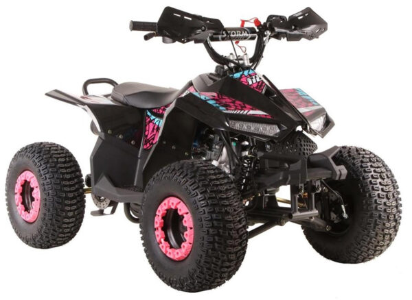 Girls Pink 110cc 4-Stroke Petrol Automatic Quad Bike Reverse gear 11