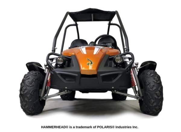 Kids 150cc Polaris Black Hammer-Head 2 Seat Petrol Off-Road Buggy