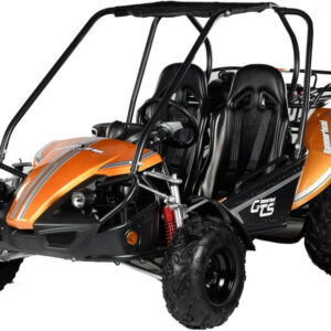 Kids 150cc Polaris Black Hammer Head 2 Seat Petrol Off Road Buggy Kids Petrol Cars