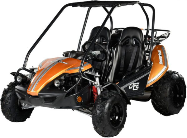 Kids 150cc Polaris Black Hammer-Head 2 Seat Petrol Off-Road Buggy 6