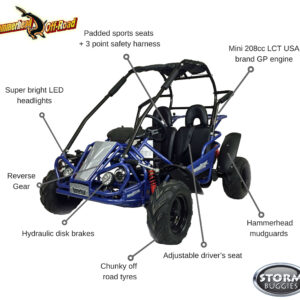 Kids 208cc Polaris Snow Hammer-Head 2 Seat Petrol Off-Road Buggy 8