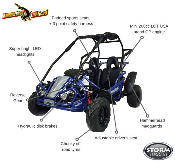 Kids 208cc Polaris Snow Hammer-Head 2 Seat Petrol Off-Road Buggy 8