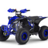 Blue 8-14 Year Old 110cc Kids 4-Stroke Petrol Power Quad Bike